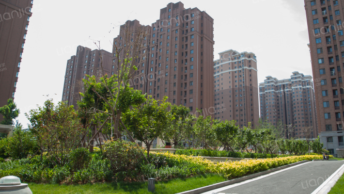 黄金99御园外景图