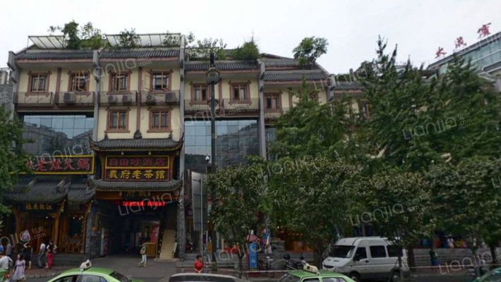 武侯祠大街113号外景图