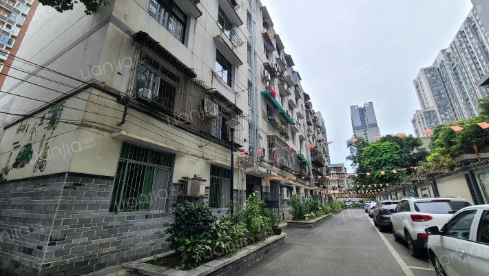 成都市郫都区供销社商业公司家属院外景图