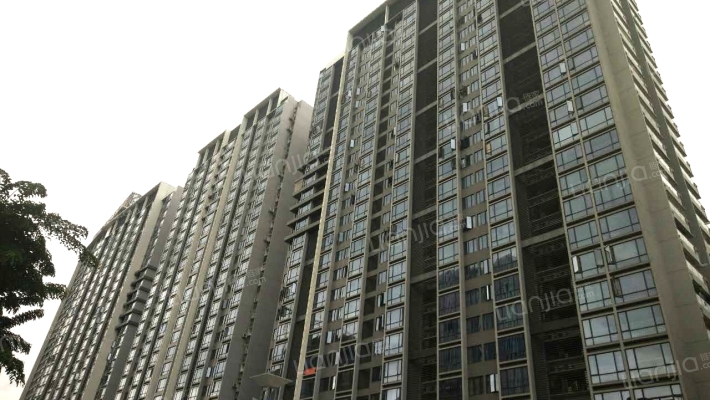 中央财津外景图