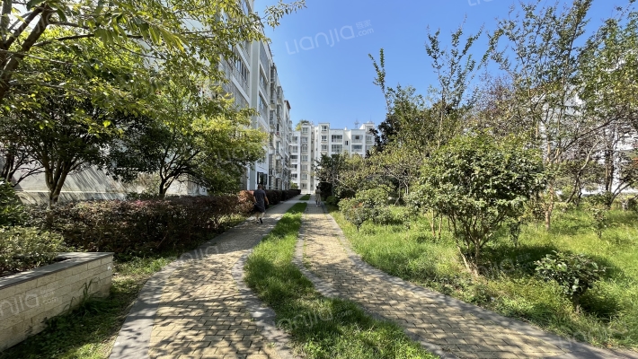 碧翠红枫外景图