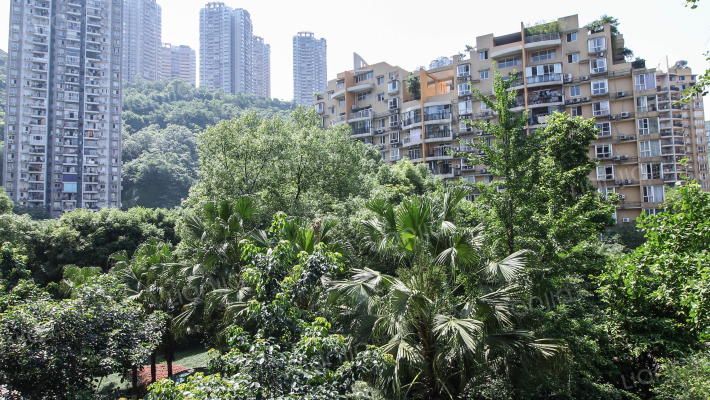 天骄年华外景图