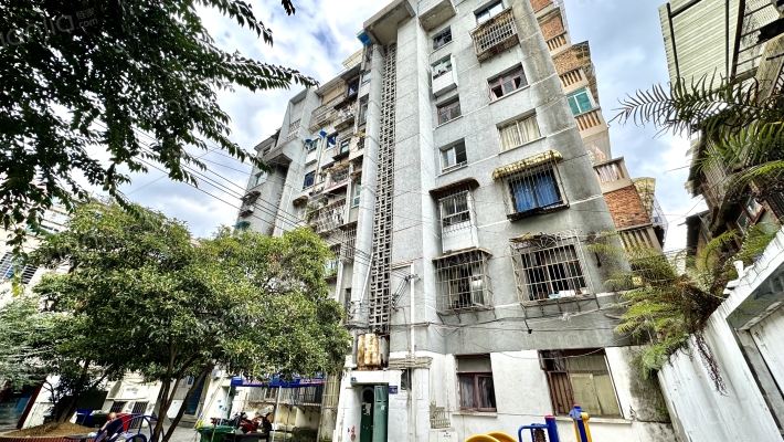 新添大道南段53号外景图