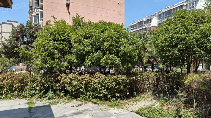 两妥颐和小区外景图