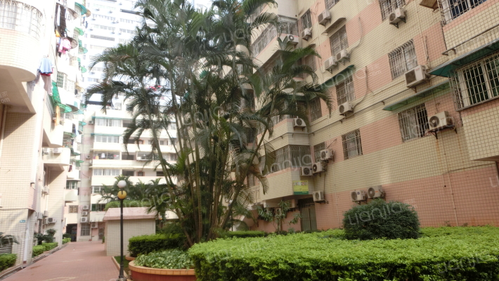 厦门龙祥花园相册