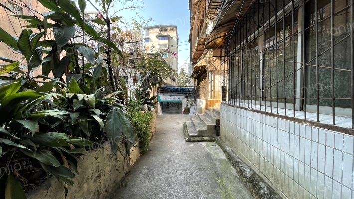 南岳路19号外景图