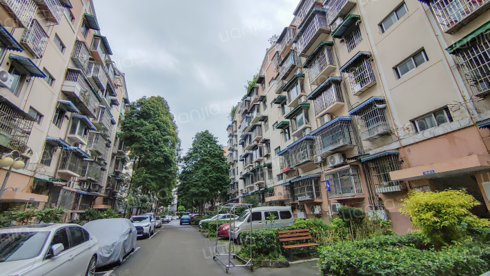 新雅中街41号外景图