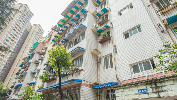 劲草苑二三期外景图