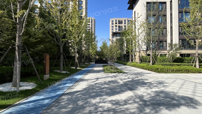 大河宸院一期外景图