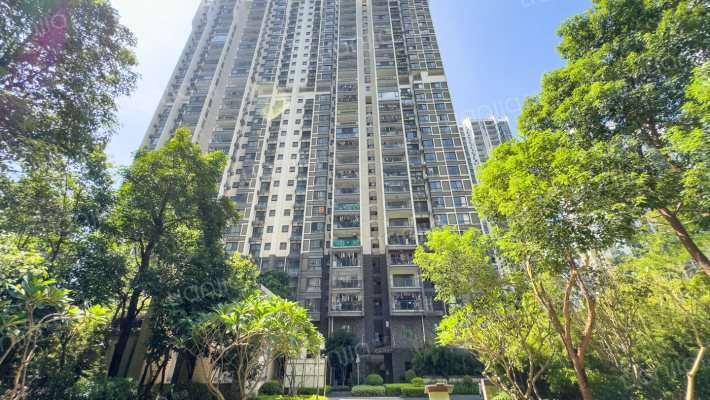 大唐世家三区外景图