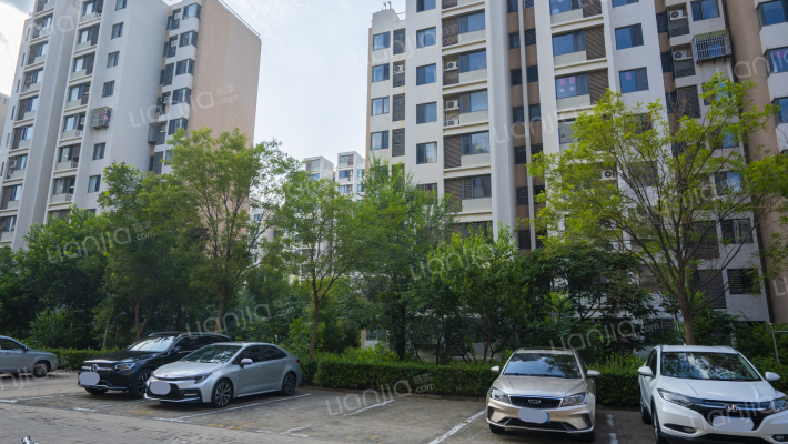 荔红花园外景图