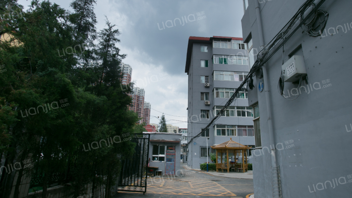 公园路工商局宿舍外景图