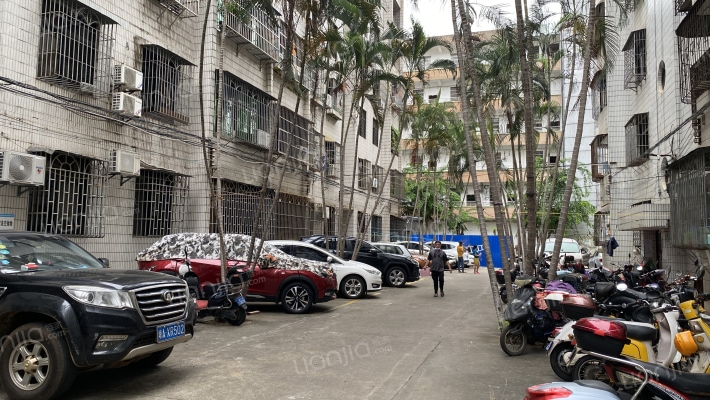 琼山地税局宿舍外景图