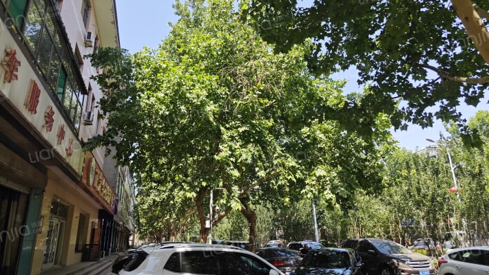 恒山东路外景图