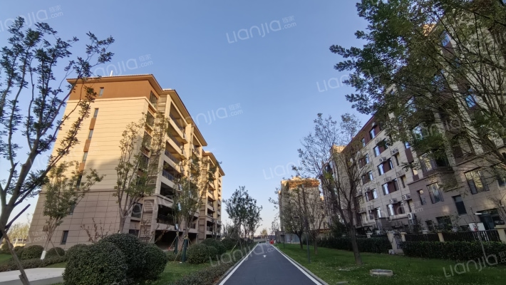 碧桂园桃园里外景图