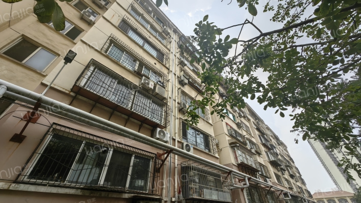 建设路13外景图