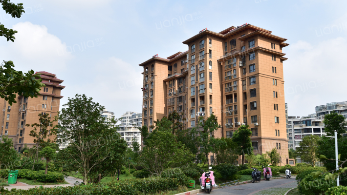 高力金色果缘外景图