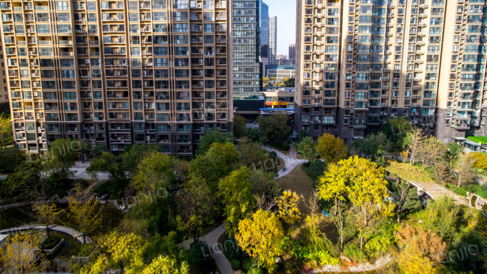 雅宝东方国际花园外景图