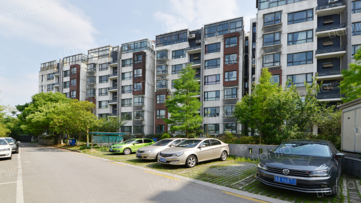 花雨南庭外景图