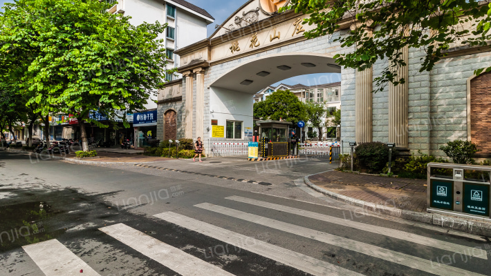 桃花山庄外景图
