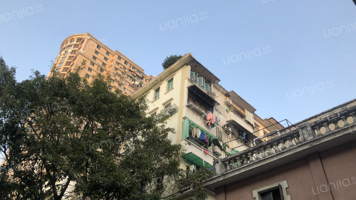 龟岗三马路外景图