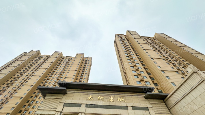 大树康城外景图