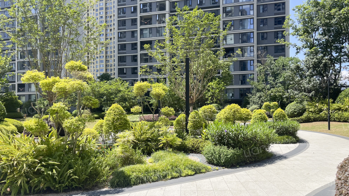 金茂望江悦外景图