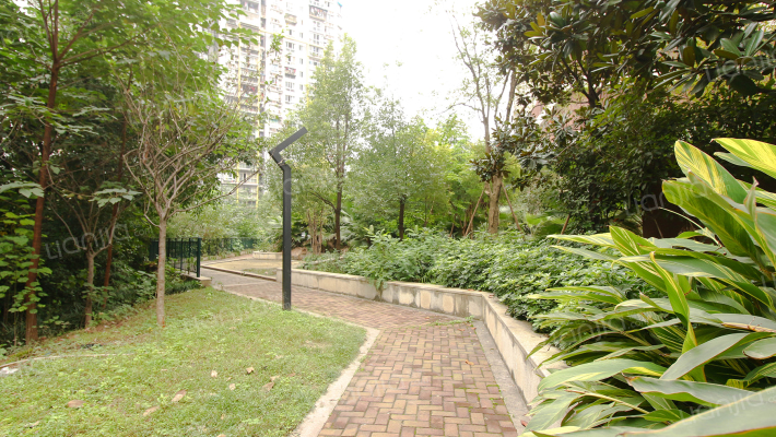 紫苑COSMO时代外景图