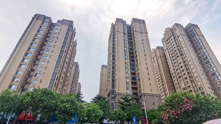 新希望·锦城外景图