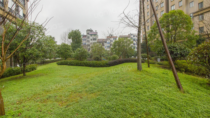 中亚东方名都外景图