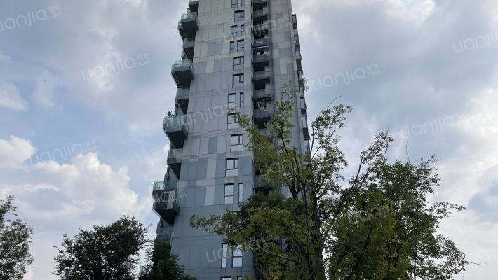 云龙荟云龙阁外景图