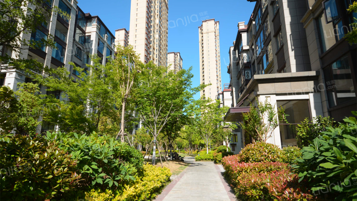 郦城国际南苑外景图