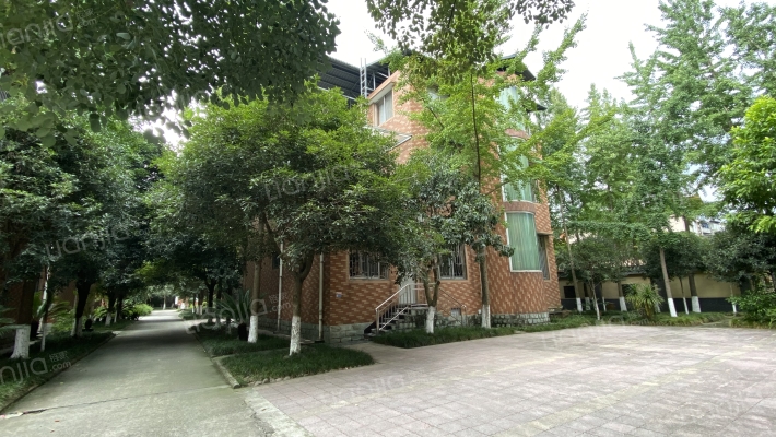 北新路90号外景图