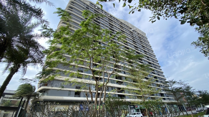 大华玲珑海外景图