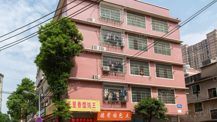 中华岭村外景图