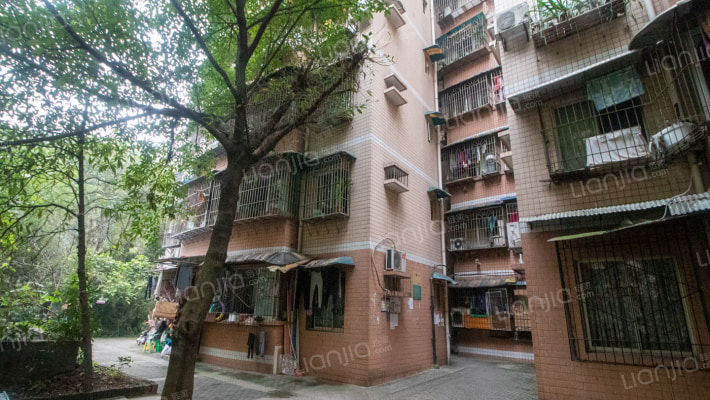 图强村418号外景图