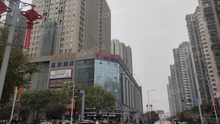 白桦林团圆外景图