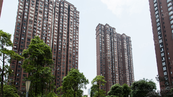 锦绣华城外景图