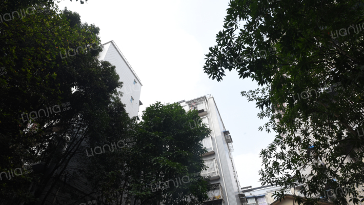 秀丽景苑外景图