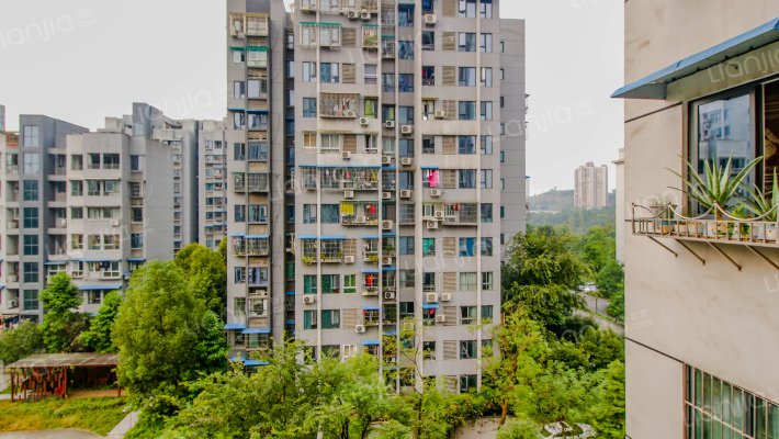 南方苹果派二期外景图