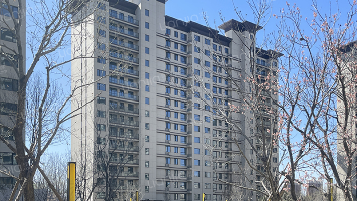 香汐映象外景图