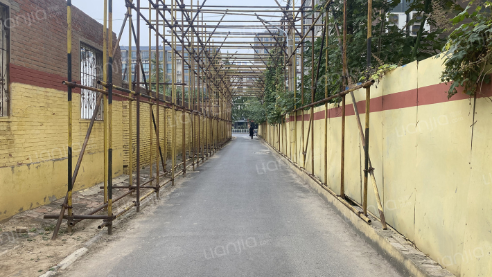 卫生局家属院外景图