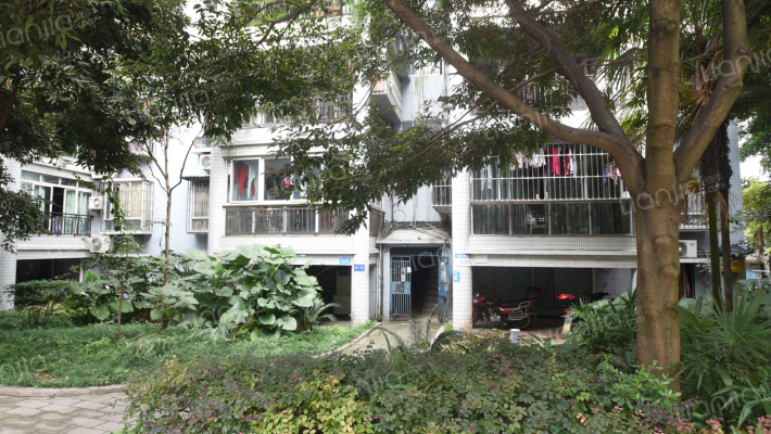 嘉华盛世外景图