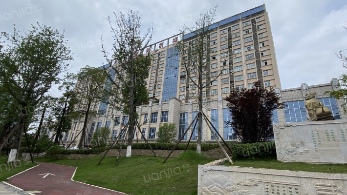 大华国际外景图