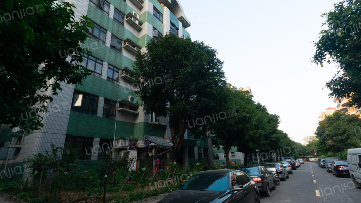 顺德碧桂园碧江新村外景图