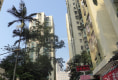 友谊大厦50