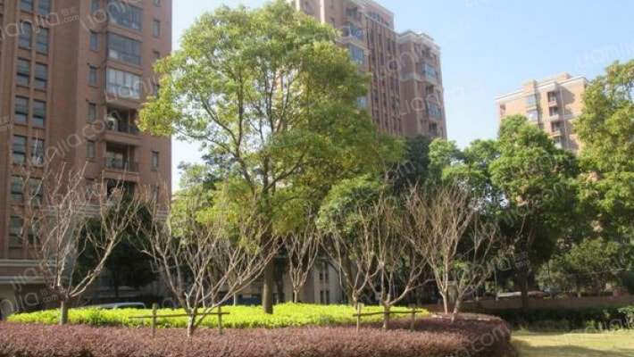 万博家园外景图