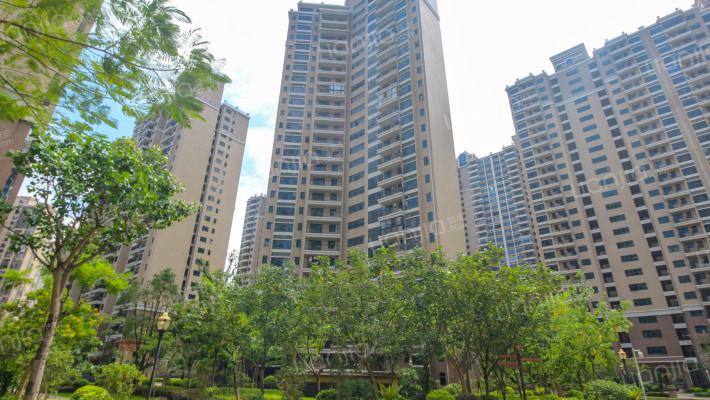 德洲城六期(新房)外景图