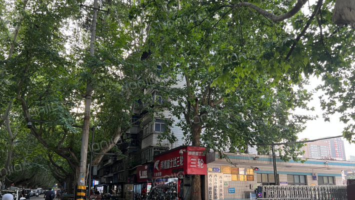 伞塔路体校家属院外景图