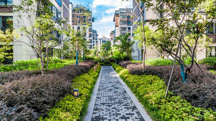 金都南德大院外景图